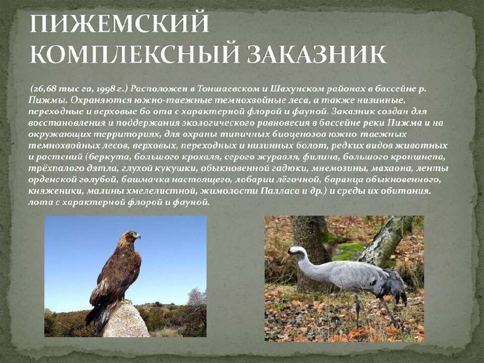 ОХРАНА РАСТИТЕЛЬНОГО МИРА