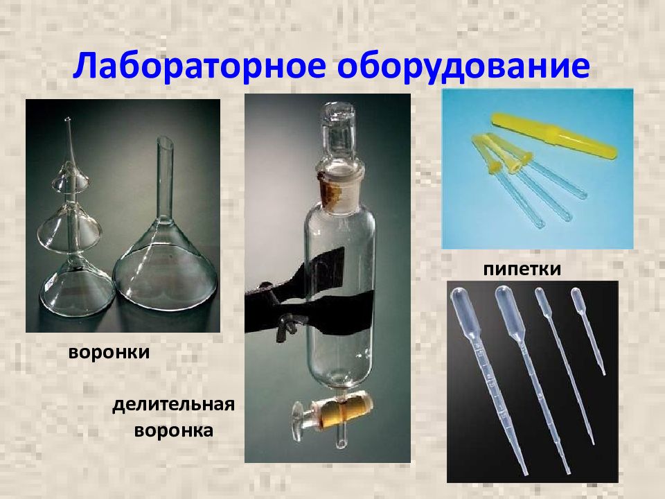 Лабораторная оборудование биология 5. Лабораторные приборы и оборудование 5 класс. Лабораторное оборудование биология. Лабораторное оборудование 5 класс биология. Лабораторные приборы и оборудование по биологии 5 класс.