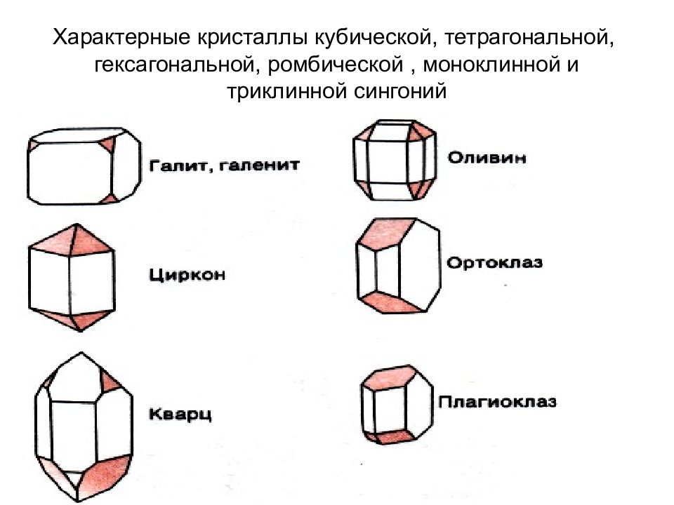 Сингония