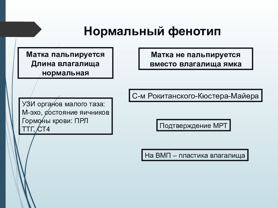 Гипоменструальный синдром презентация