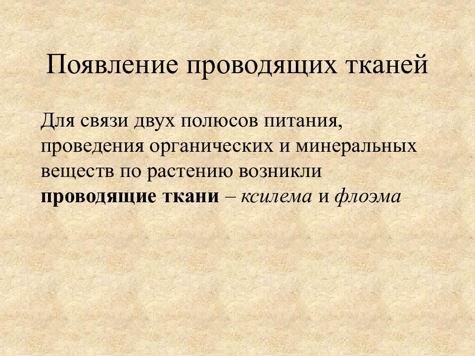 Возникнуть проводить. Появление ткани.