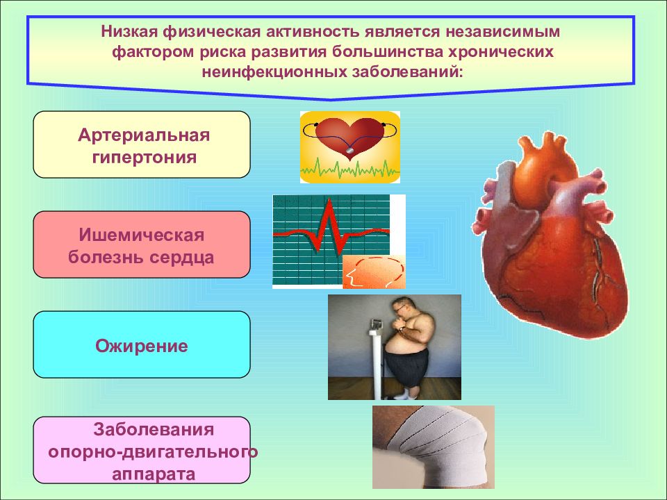 Гиподинамия и здоровье презентация