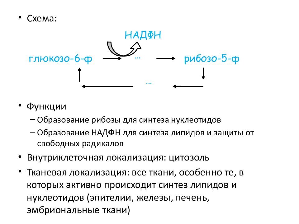 Этапы окисления