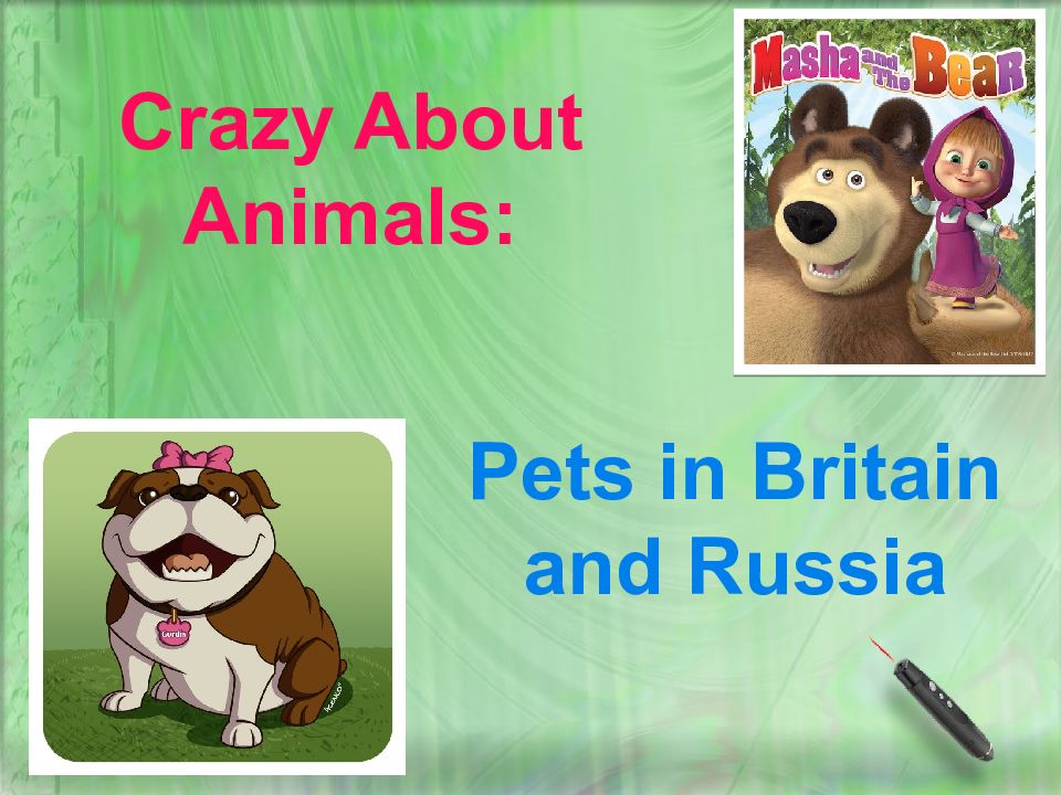 Pets презентация. Pets in Russia 2 класс Spotlight. Crazy about animals 2 класс. Crazy about animals Spotlight 2. Pets in Russia 2 класс.