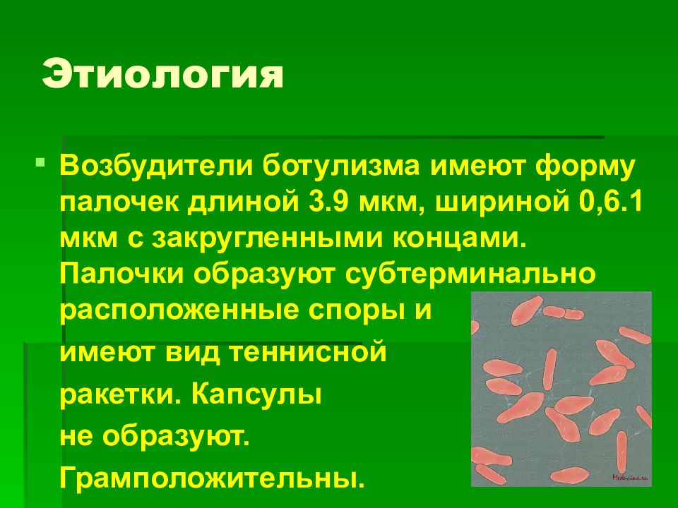 Ботулизм клиническая картина этиология