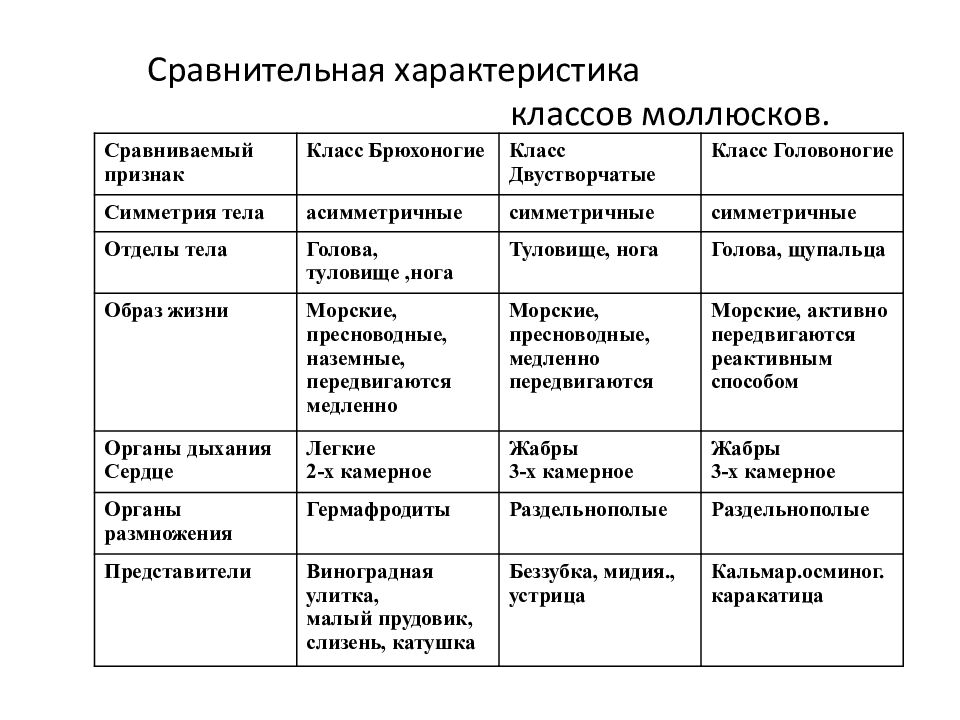 Отличие моллюсков. Таблица по биологии 7 класс Тип моллюски общая характеристика. Сравнительная характеристика классов моллюсков таблица. Общая характеристика типа моллюски 7 класс биология таблица. Характеристика класса моллюсков биология 7 класс таблица.