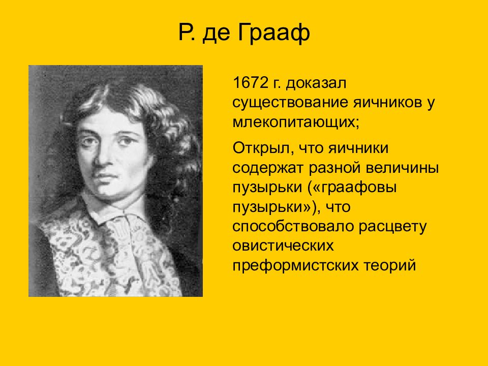 Р де. Ренье Грааф. Ренье де Грааф вклад в медицину. Ренье де Грааф основные труды. Ренье де Грааф вклад в анатомию.