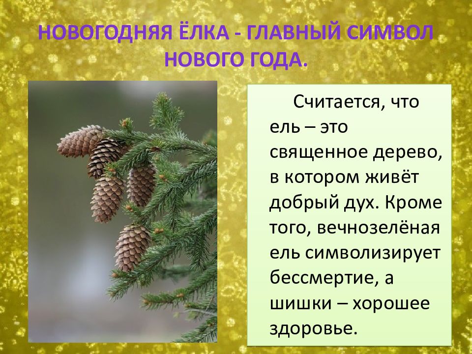 Ель символ чего. Символ нового ель. Главный символ нового года. Презентация елочка живи. Ель Священное дерево.