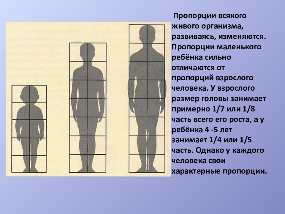 Пропорция 2 3 4 6. Пропорции фигуры человека. Пропорции фигуры человека фигура в движении. Пропорции фигуры человека для живописи. Вертикальные пропорции фигуры.