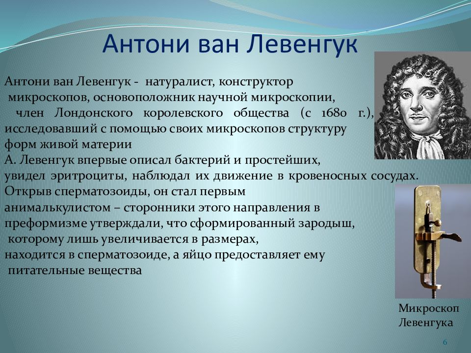 Антони ван левенгук биография. Антони Ван Левенгук 1680 открытие. 1715 А. Ван Левенгук. Антонио Ван Левенгук его открытия. Антонио Левенгук открытия.