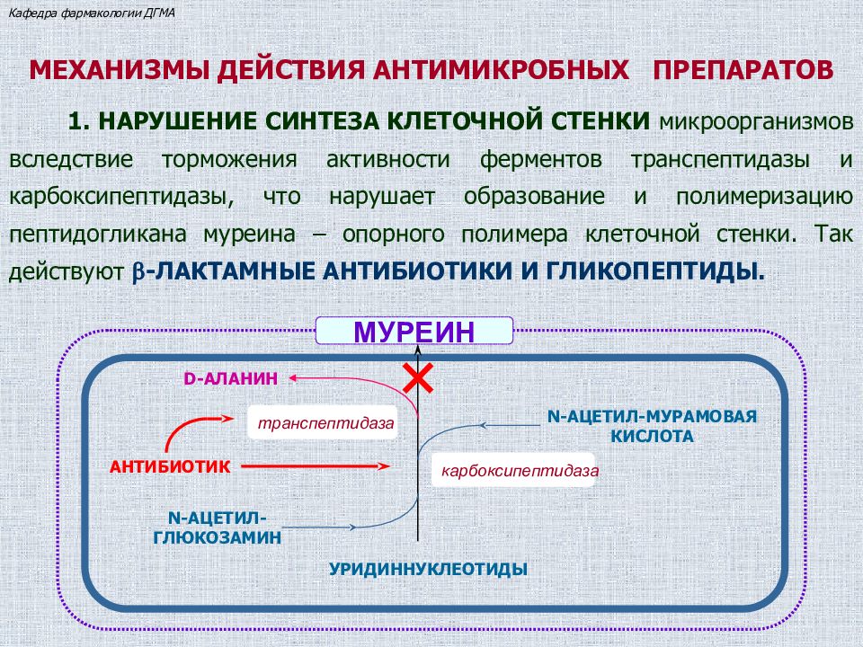 Антибиотики клиническая фармакология презентация