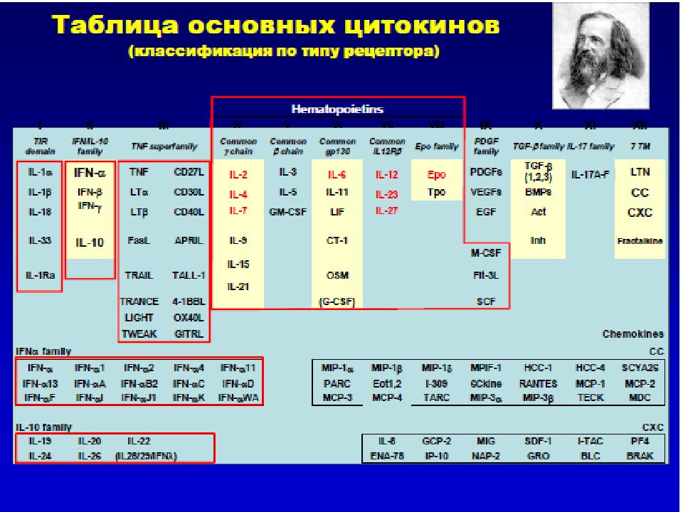 Система цитокинов. Основные свойства цитокинов таблица. Основные свойства цитокинов.