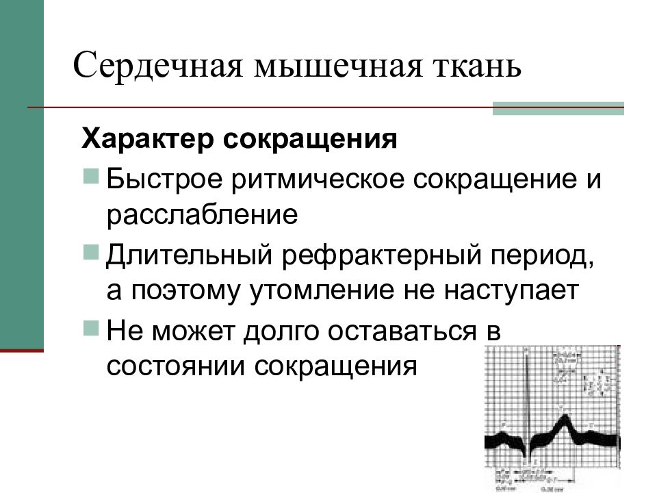 Характер сокращения. Сокращение сердечной мышечной ткани. Характер мышечного сокращения. Характер сокращения мышечной ткани. Ритмические мышечные сокращения.