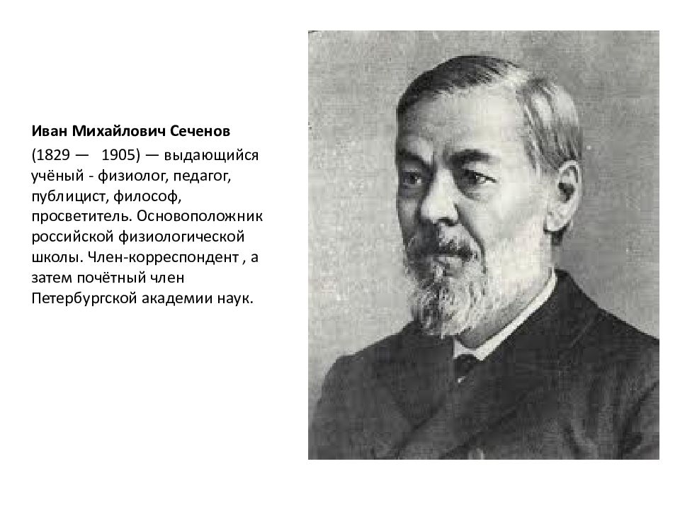 Иван Михайлович Сеченов (1829-1905 гг.).. Сеченов и.м. (1829-1905). Иван Сеченов русский физиолог. Иван Михайлович Сеченов портрет.