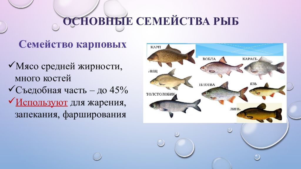 Семейства рыб. Семейства промысловых рыб таблица. Классификация промысловых семейств рыб. Характеристика семейств рыб. Классификация рыбы по размеру.