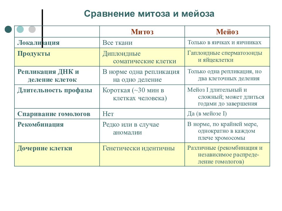 Митоз и мейоз различия. Сравнительная таблица митоза и мейоза 9 класс. Сравнение митоза и мейоза таблица. Мейоз и митоз сравнительная таблица. Характеристика митоза и мейоза.