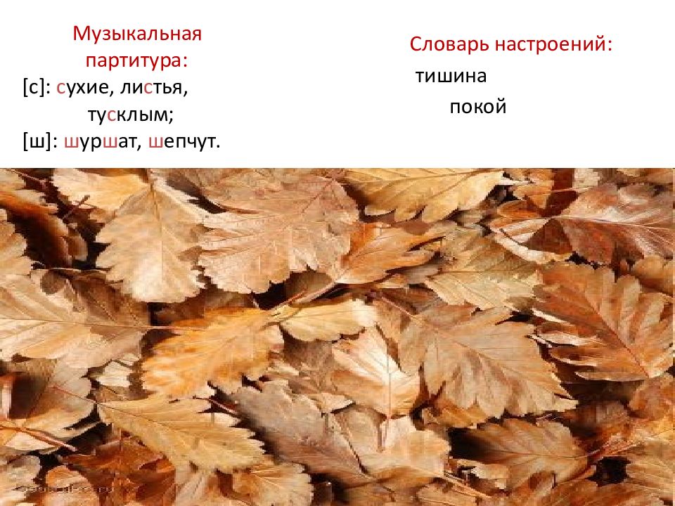 Внизу под ногами шуршат сухие листья. «Осенние листья» - тема для поэтов. 2 Класс презентация. Сухие листья чтение 2 класс. Сухие листья 2 класс. Сухие листья стихотворение.