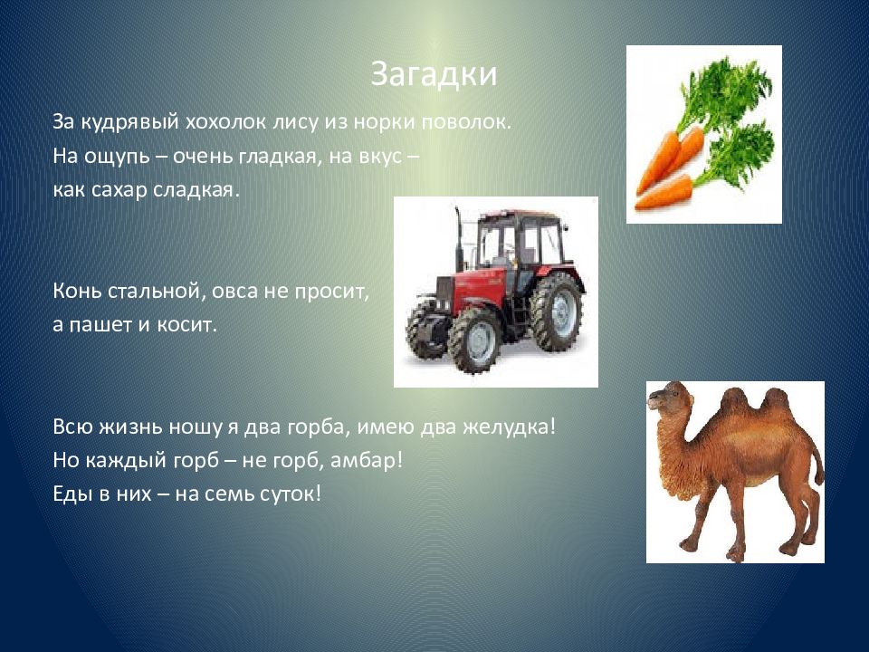 Есть не просит загадка. Загадка про коня. Конь стальной овса не просит а пашет. Загадка конь стальной овса не просит. Загадка конь стальной овца.