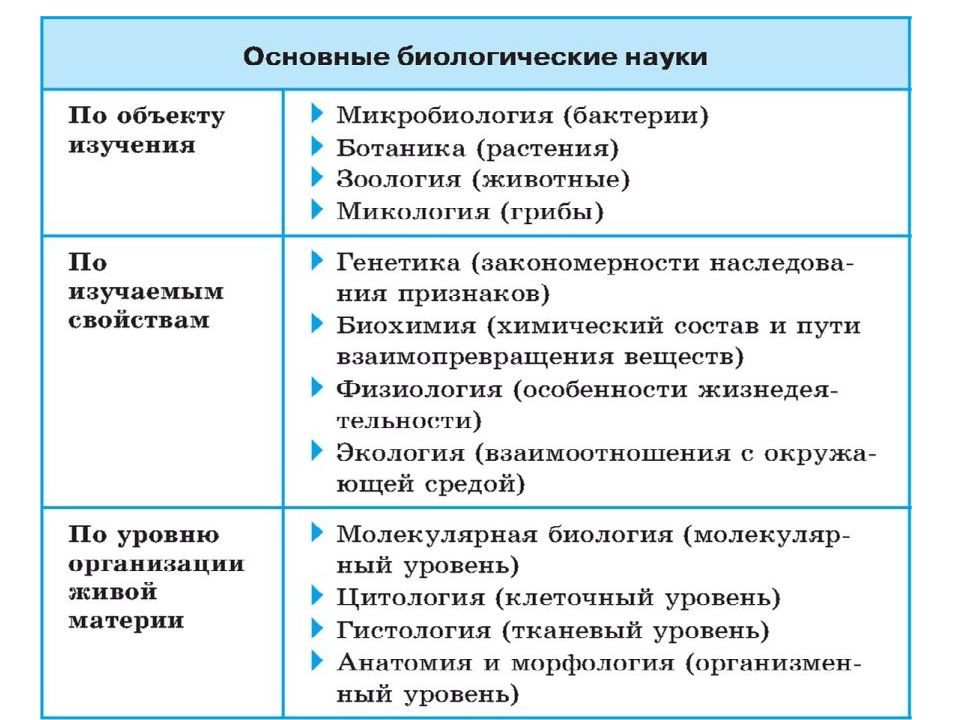 Схема биологические науки