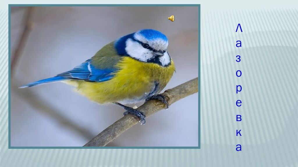 12 ноября – Синичкин день