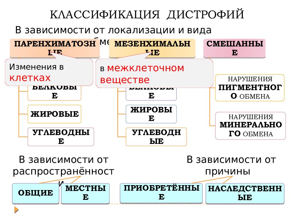 Дистрофии патология презентация