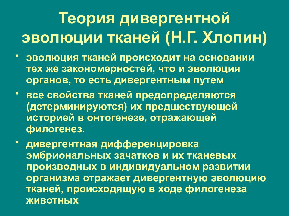 2 развитие тканей. Теории развития тканей. Теория дивергентной эволюции тканей Хлопина. Теорию дивергентной эволюции. Теории возникновения и эволюции тканей.