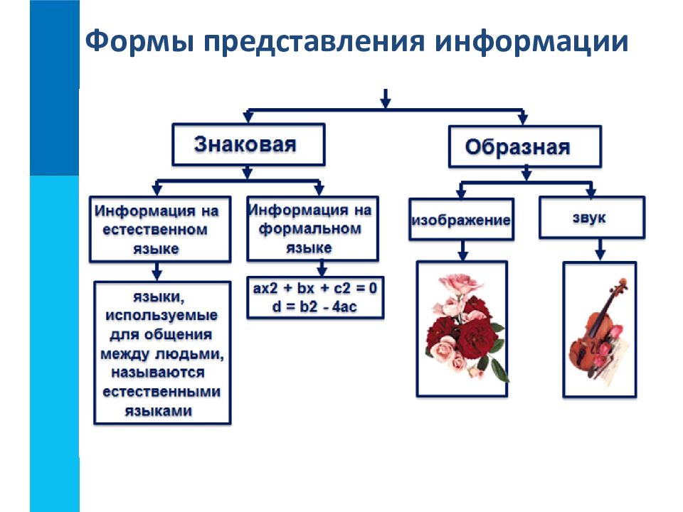 Всякая ли схема может претендовать на полноту представления информации об объекте