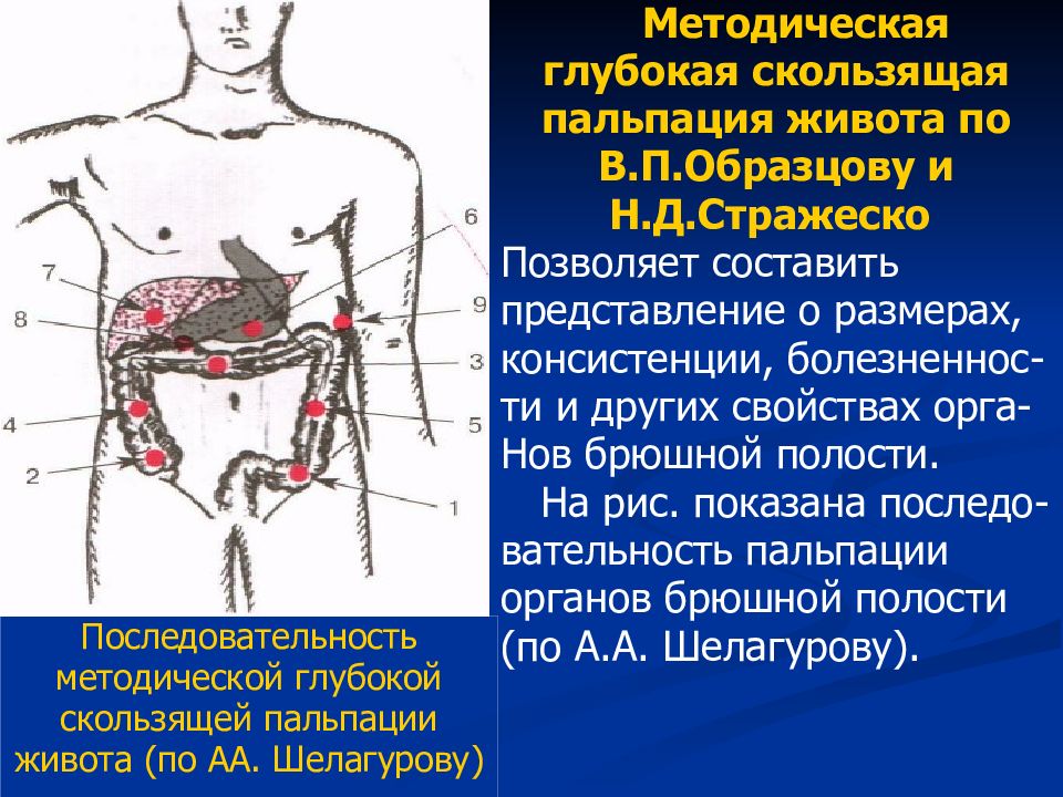 4 нарисовать топографическое расположение отделов толстого кишечника при глубокой пальпации живота