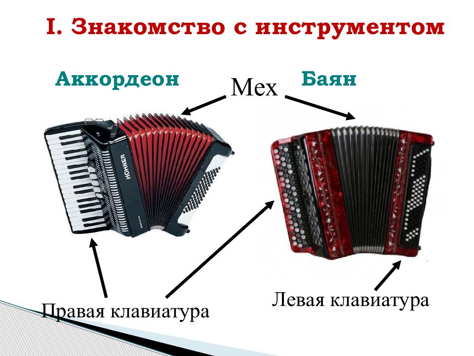 Аккордеон как играть