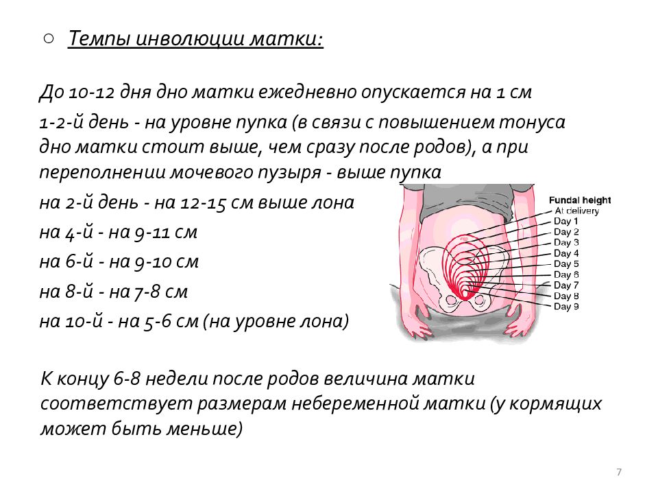 Послеродовой период акушерство презентация