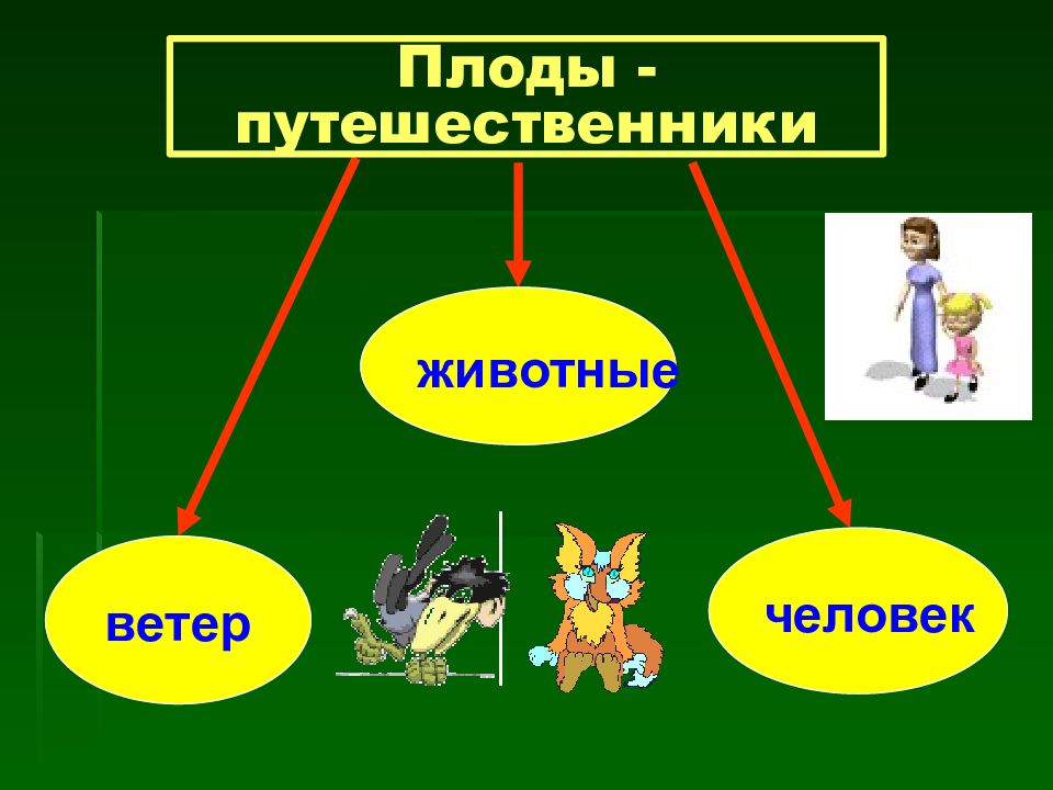 Растения путешественники 2 класс окружающий мир презентация