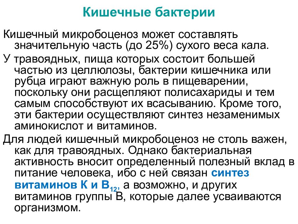 Белок кишечник. Память предназначена для ускорения обращение к данным. Слова из пайки.