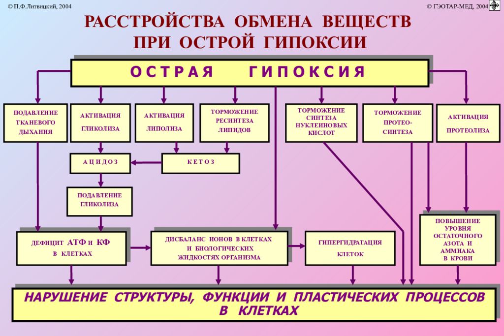 Гипоксия кома. Субстратная гипоксия. Расстройства обмена веществ при острой гипоксии. Механизмы субстратной гипоксии. Субстратный Тип гипоксии.