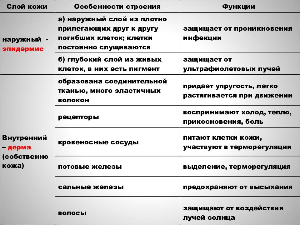Презентация строение и функции кожи 8 класс. «Мягкий» и «жесткий» туризм. Характерные черты жесткого и мягкого туризма. Сравнение жесткий как. Характерные черты жесткого и мягкого туризма громогласность.