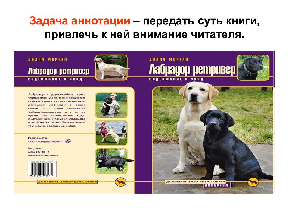 Аннотация книга о животных. Аннотация памятка. аннотация к книге. аннотация к книге 3 класс примеры. аннотация к книге пример 9 класс.