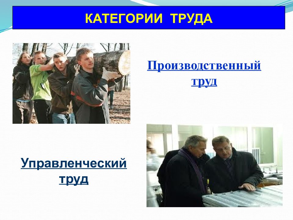 Категории труда. 