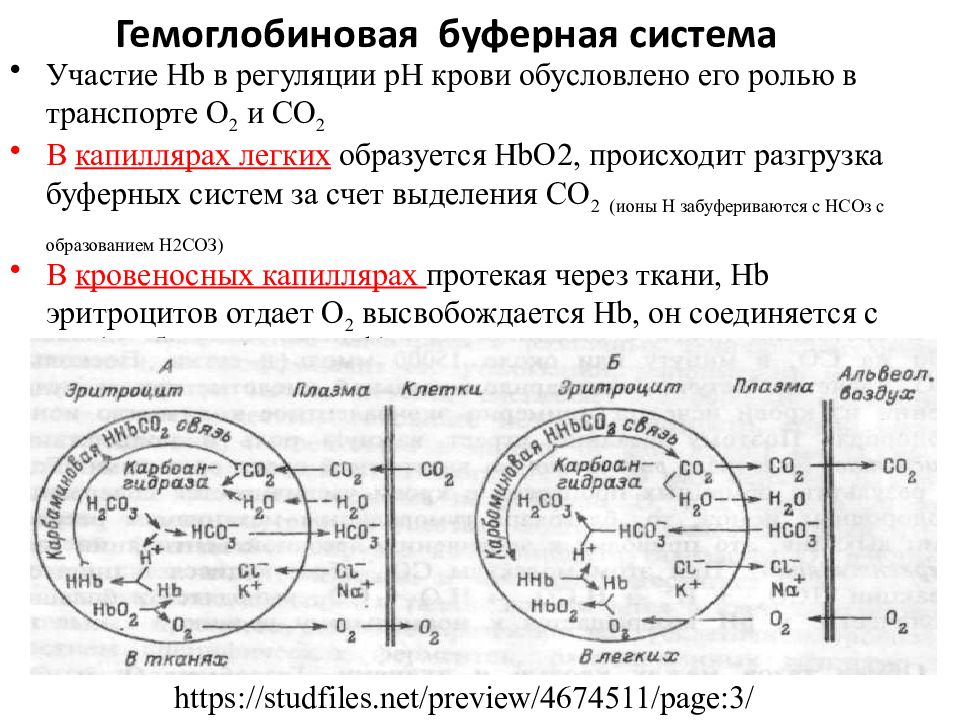 Гемоглобиновая буферная система схема