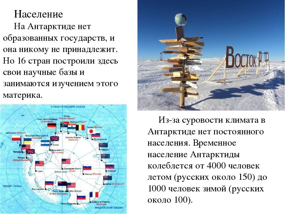 Материк антарктида доклад. Антарктида презентация. Антарктида доклад. Географические данные Антарктиды. Презентация на тему материк Антарктида.