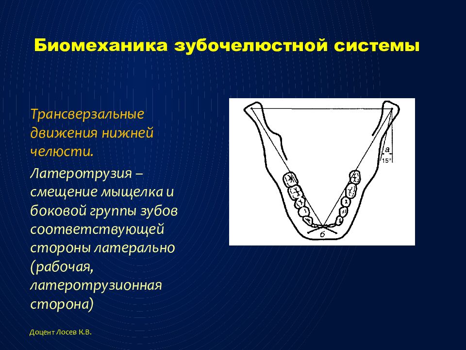 Трансверзальный суставной. Трансверзальный суставной. Трансверзальные (боковые) движения нижней челюсти. Угол трансверзального суставного пути угол беннета. Трансверзальные движения нижней челюсти.