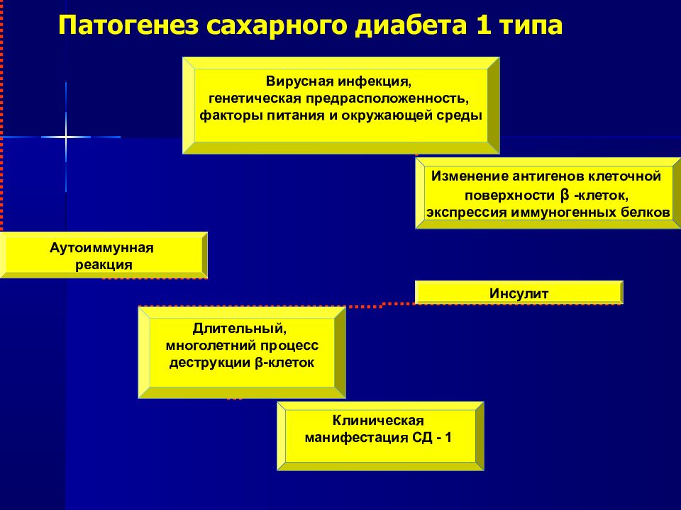 Этиология и патогенез сахарного диабета. Патогенез сахарного диабета первого типа. Патогенез СД 1 типа. Этиология сахарного диабета 1 типа кратко. Механизм развития сахарного диабета 1 типа.