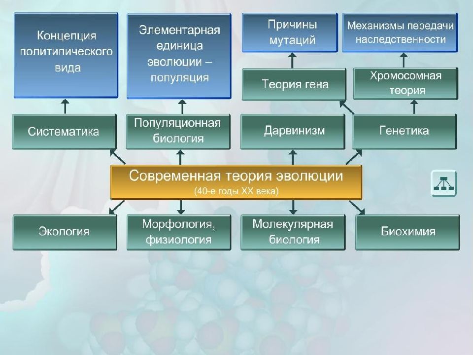 Элементарные факторы эволюции презентация