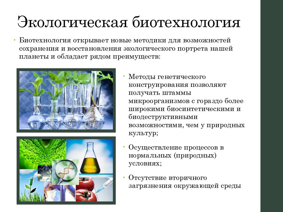 Проблемы биотехнологии в экологическом плане