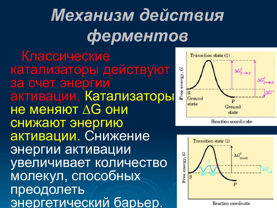 Скорость химических реакций катализ. Ферменты снижают энергию активации. Катализаторы уменьшают энергию активации. Снижение значения энергии активации при помощи катализатора.