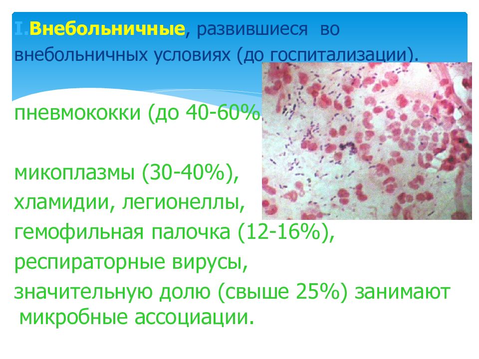 Микоплазмы респираторные.