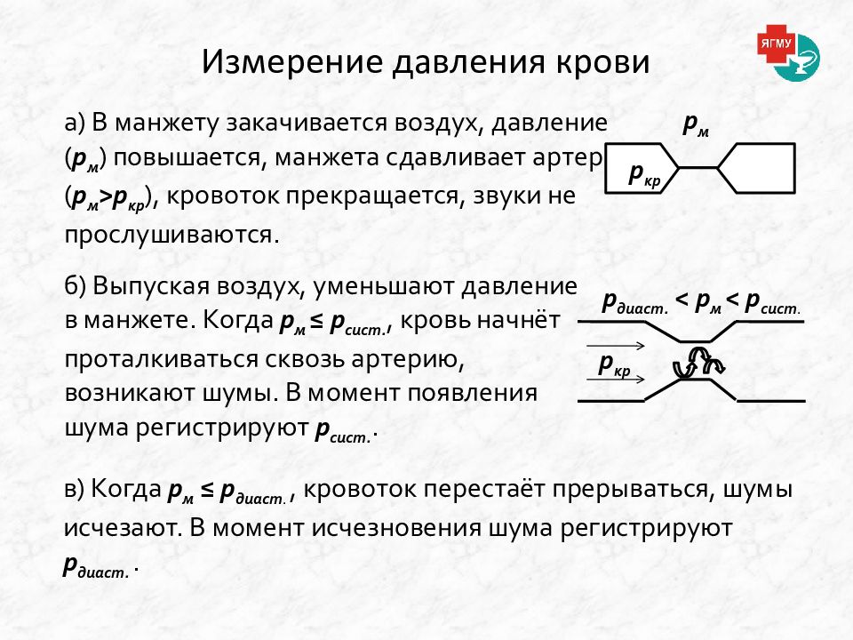 Реология крови презентация