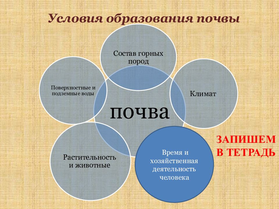 Образование почвы презентация