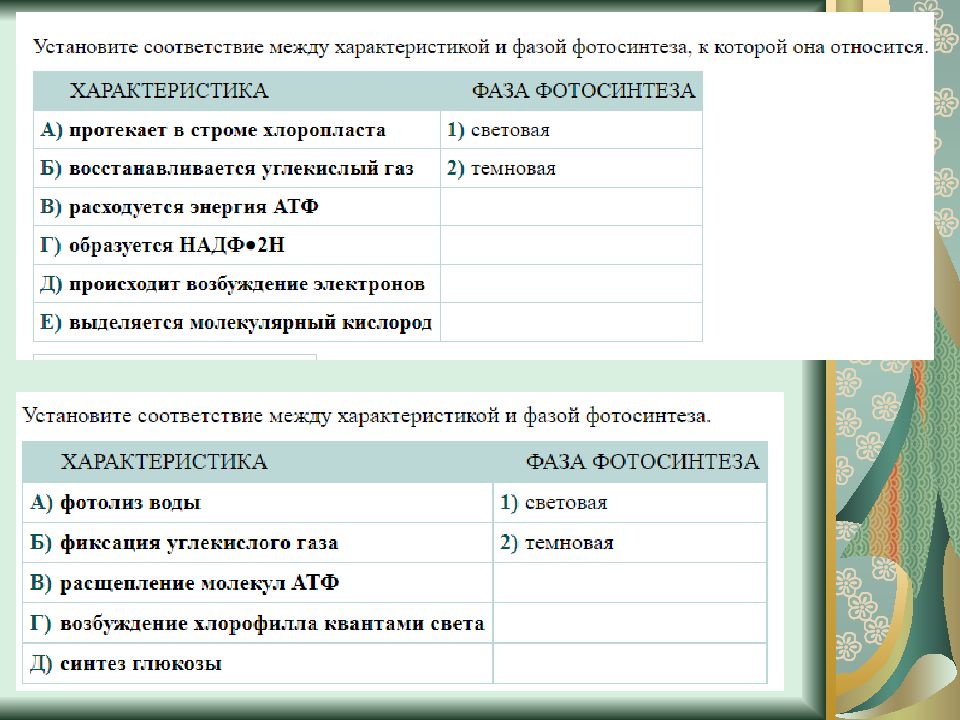 Тест по биологии по теме обмен веществ. Задания ЕГЭ по теме энергетический обмен биология 2024.