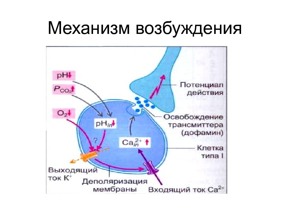 Механизм возбуждения