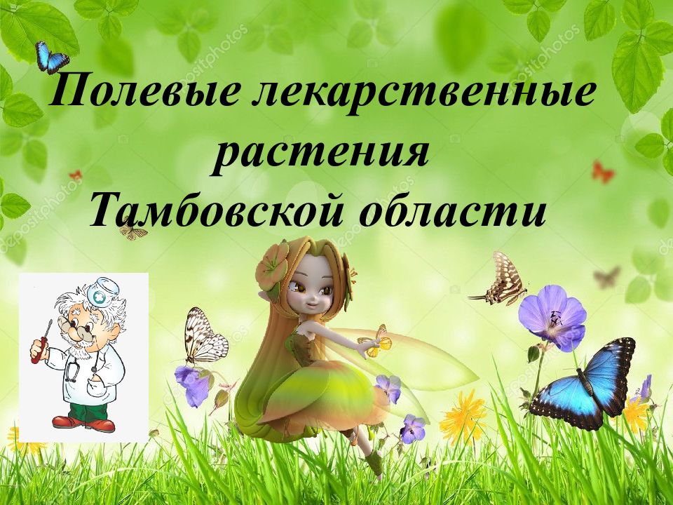 Полевые лекарственные растения Тамбовской области