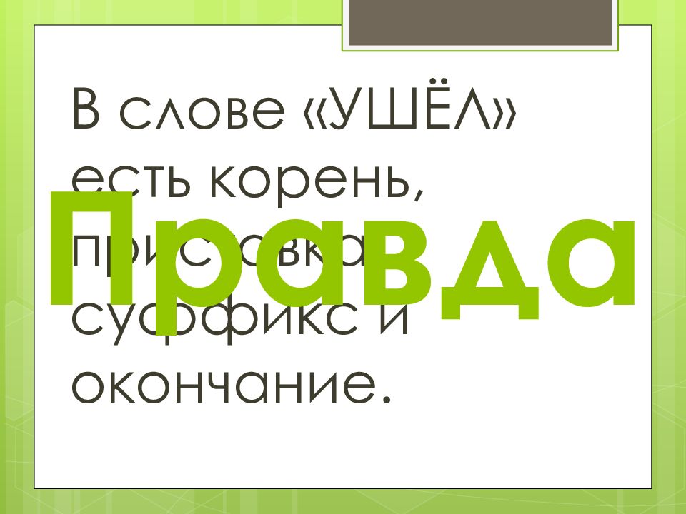 В слове всегда есть корень